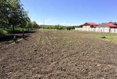 Casă cu 6 camere cu Teren 3000 Mp în Cârcea