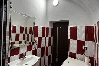 Apartament cu 3 camere semidecomandat, mobilat în Boul Roșu - 12