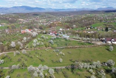 Teren Construcții intravilan de 1646 mp, în Cărbunari - 3