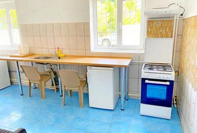 Casă cu 6 camere în Buziașului