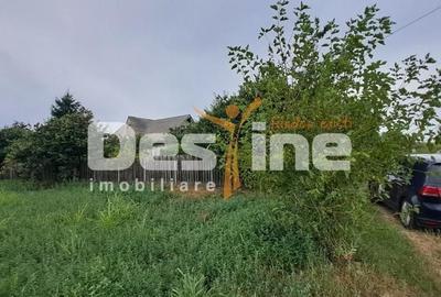 Casă cu 3 camere în Cornești