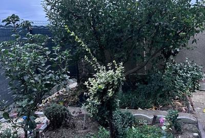 Casă individuală cu 5 camere cu Garaj în Lacul Morii - 5