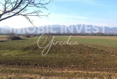 Spațiu comercial, în Valea Vințului