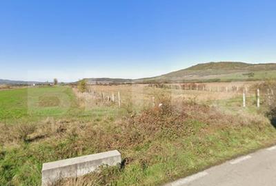 Teren Construcții extravilan de 8700 mp, în Exterior Sud
