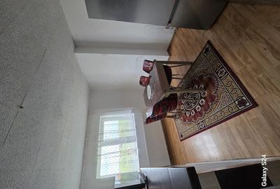 Apartament cu 2 camere decomandat în Remetea Mare - 9