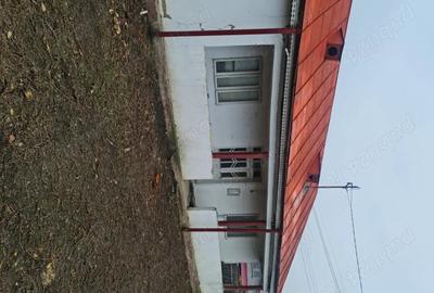 Casă în Garoafa - 5