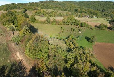 Teren agricol intravilan de 1400 mp, în Șuncuiuș - 6