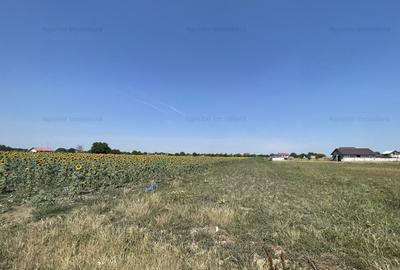 Teren Construcții intravilan de 1956 mp, în Frumușani - 3