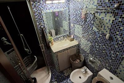 Apartament cu 4 camere în Ostroveni - 11