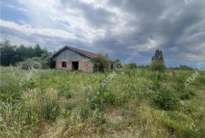 Teren Construcții extravilan de 20200 mp, în Daia - 2
