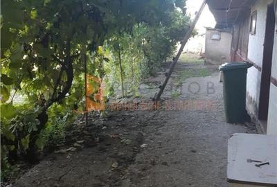 Casă individuală cu 4 camere cu Teren 2672 Mp în Râmnicelu - 4