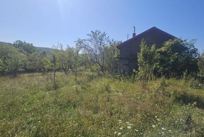 Casă individuală cu 4 camere cu Teren 4873 Mp în Pietroasa - 4