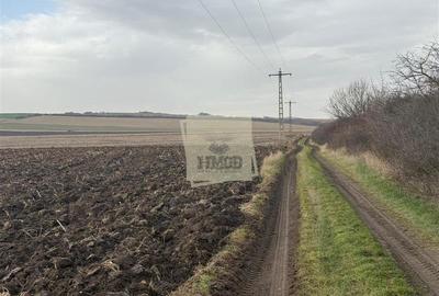 Teren agricol extravilan de 20300 mp, în Șura Mică - 2