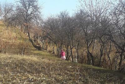 Teren de 4501 mp, în Brătești
