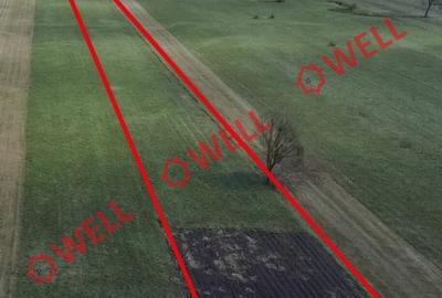Teren extravilan de 9637 mp, în Sărămaș - 4