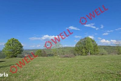 Teren de 2702 mp, în Vama Buzăului - 11