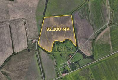 Teren agricol extravilan de 92200 mp, în Mehala - 2