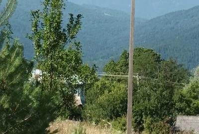 Teren de 1285 mp, în Hangu - 1