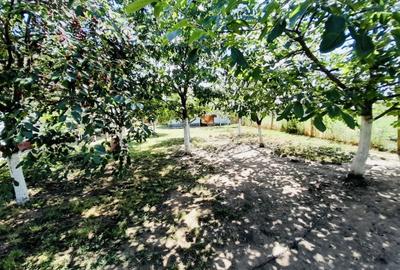Casă individuală cu 2 camere cu Canalizare în Ciocaia - 5