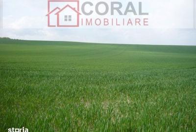 Teren de 5866 mp, în Certeju de Sus