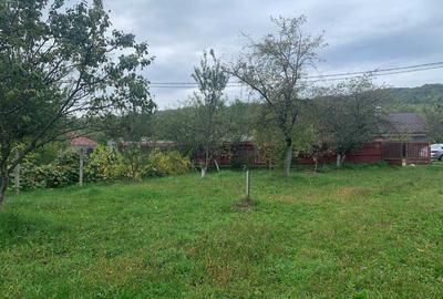 Casă cu 4 camere în Stâlpeni - 4