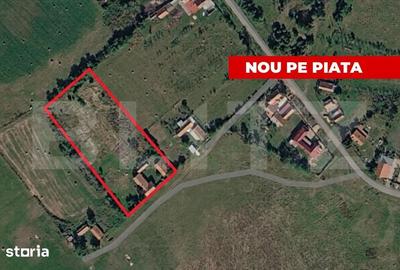 Teren de 7000 mp, în Chevereșu Mare - 2