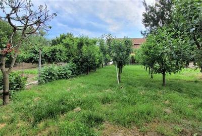 Casă individuală cu 8 camere cu Canalizare în Apoldu de Jos - 5