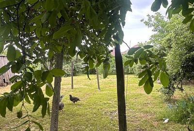 Casă cu 3 camere cu Teren 1300 Mp în Central - 10