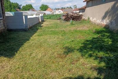 Casă în Tomnatic