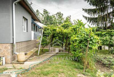 Casă cu 4 camere cu Teren 1425 Mp în Țaga - 1