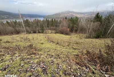 Teren de 4165 mp, în Ceahlău