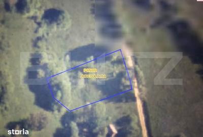 Teren de 1132 mp, în Ponor - 3