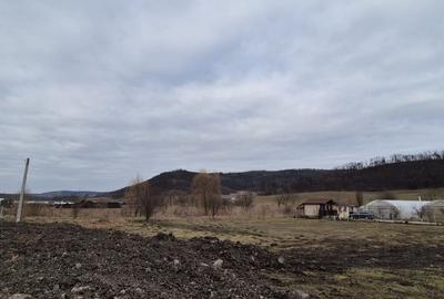 Teren Construcții extravilan de 17000 mp, în Calea Voinicenilor - 2