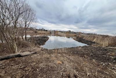 Teren Construcții intravilan de 5000 mp, în Vlădiceasca - 4