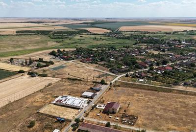 Teren Construcții intravilan de 90000 mp, în Bărăteaz - 13