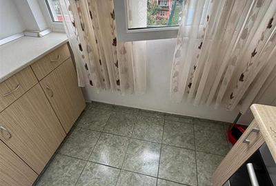 Garsonieră decomandată în Nicolina - 4