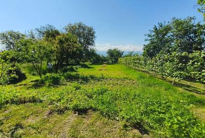 Casă cu 2 camere în Săcădate - 1