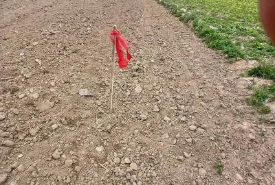 Casă cu 4 camere cu Teren 2000 Mp în Bungard