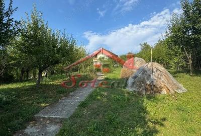 Casă cu Teren 2404 Mp în Cornu - 4