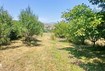 Casă cu 3 camere cu Teren 1801 Mp în Mihai Viteazu