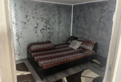 Casă cu 2 camere cu Teren 1600 Mp în Fundeni - 14