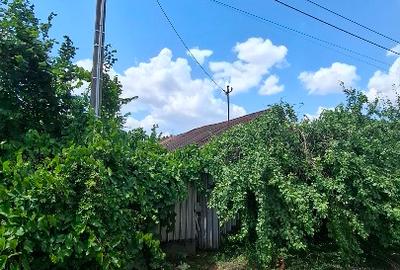 Casă individuală cu 2 camere cu Teren 1050 Mp în Floroaica