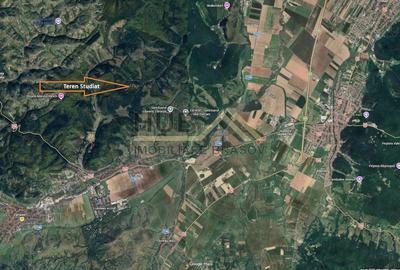 Teren Construcții extravilan de 5800 mp, în Vulcan