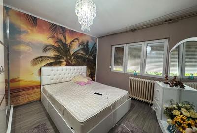 Apartament cu 2 camere decomandat, mobilat în Torontalului