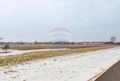 Teren intravilan de 5646 mp, în Stupini - 6