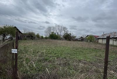 Teren Construcții intravilan de 1248 mp, în Puchenii Mari - 2