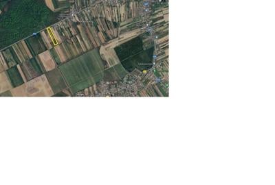 Teren de 4500 mp, în Ogrezeni