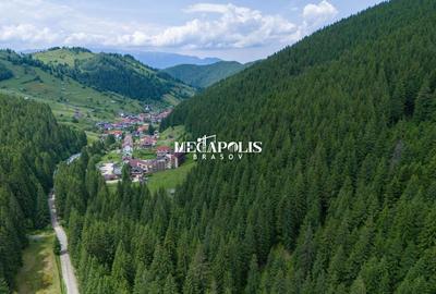 Teren Construcții intravilan de 12307 mp, în Moieciu de Sus - 13