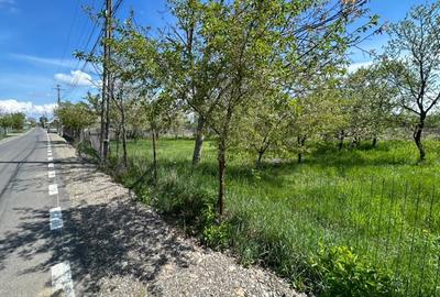 Teren de 7100 mp, în Răucești - 8