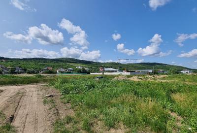 Teren Construcții intravilan de 18157 mp, în Tomești - 3